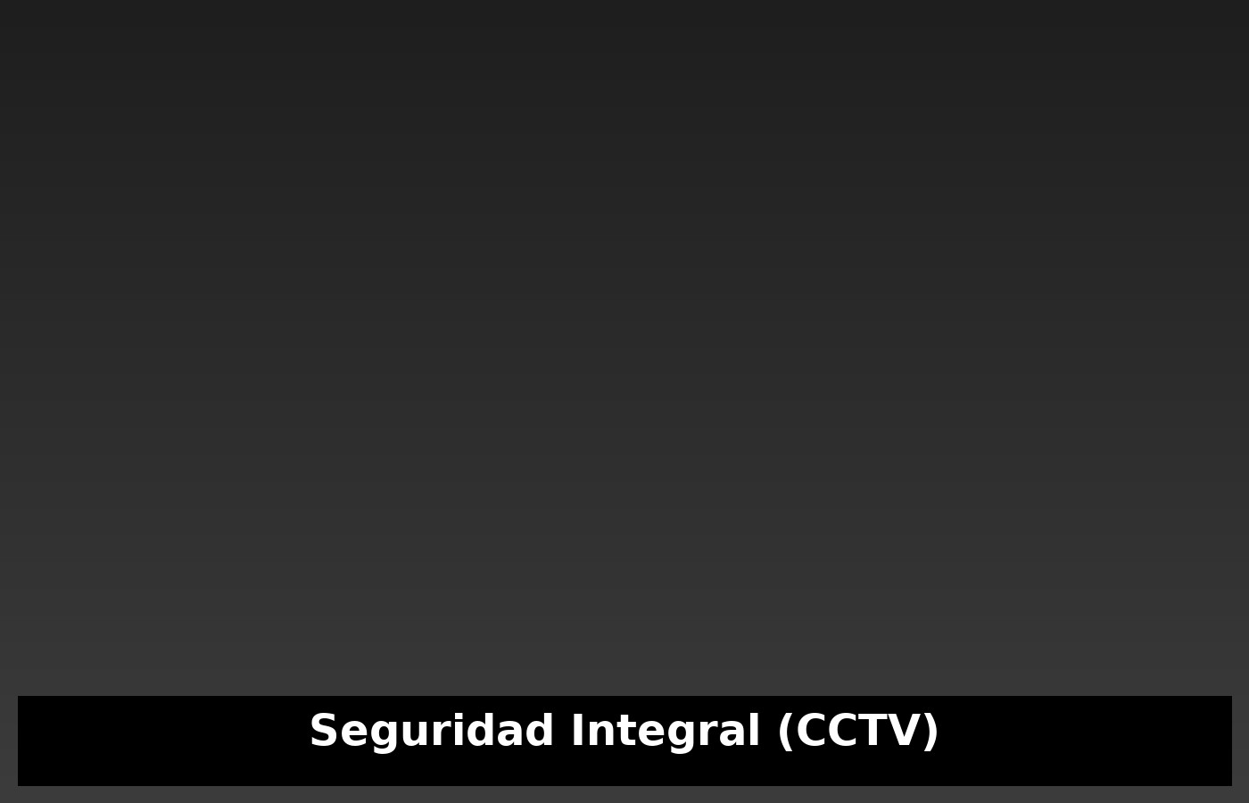Seguridad Integral